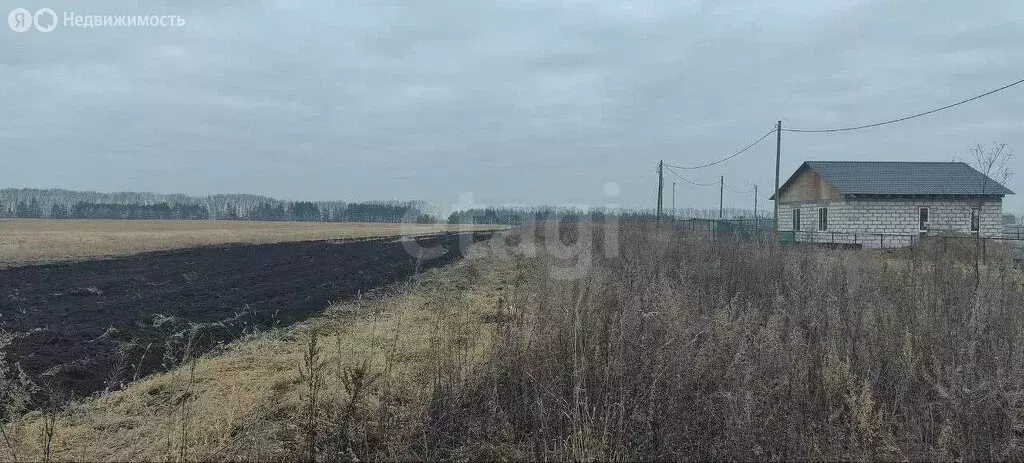 Участок в Новостройка, Шоссейная улица (10 м) - Фото 2