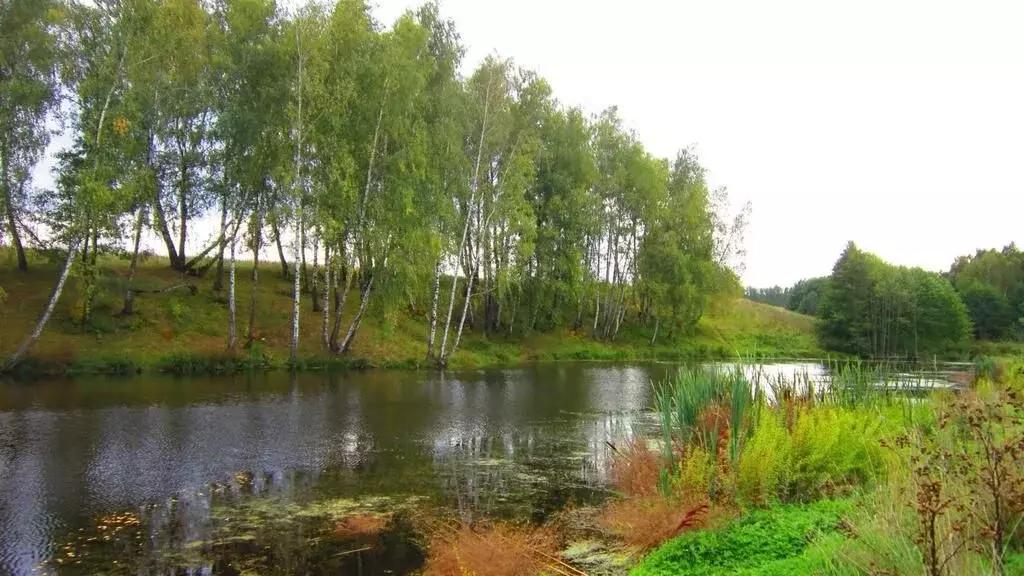Участок в Московская область, Серпухов городской округ, д. Волохово  ... - Фото 1
