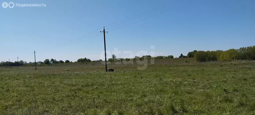 Участок в Калининградская область, Зеленоградский муниципальный округ ... - Фото 1