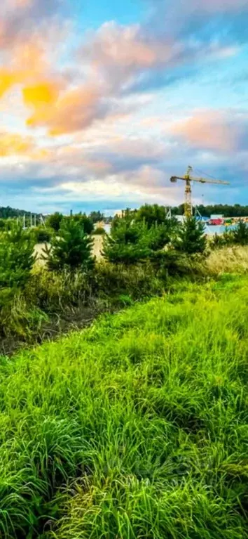 Участок в Московская область, Дмитровский муниципальный округ, д. ... - Фото 2