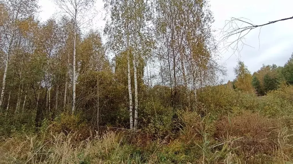 Участок в Московская область, Шатура  (6.0 сот.) - Фото 0