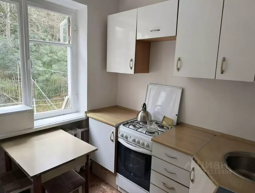 1-к кв. Краснодарский край, Сочи Курортный просп., 74/1 (27.5 м) - Фото 2