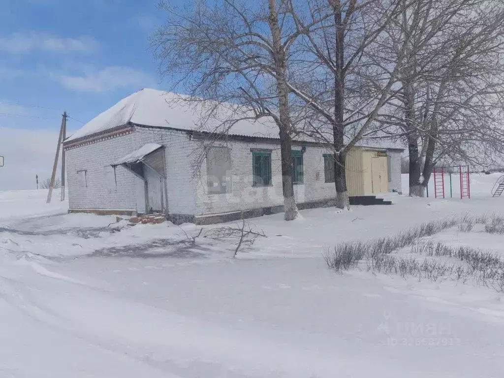 Торговая площадь в Белгородская область, Вейделевский район, ... - Фото 1