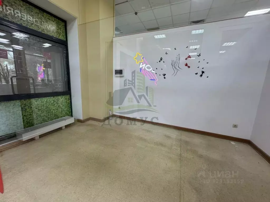 Торговая площадь в Московская область, Раменский муниципальный округ, ... - Фото 2