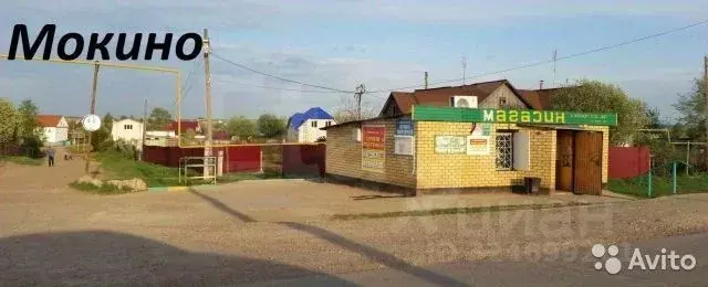 Участок в Пермский край, Пермский муниципальный округ, Мокино-3 кп  ... - Фото 2