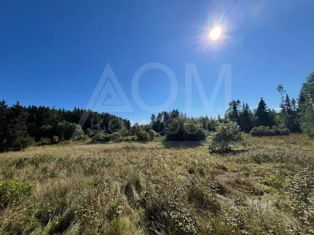 Участок в Ленинградская область, Приозерский район, Мельниковское ... - Фото 1