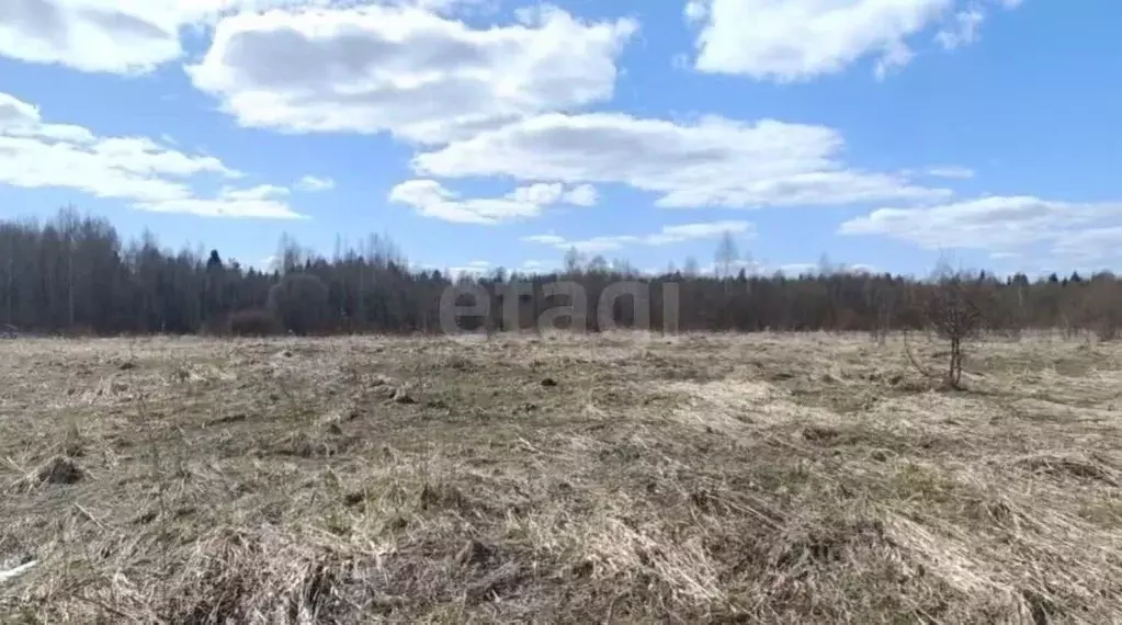 Участок в Вологодская область, Усть-Кубинский муниципальный округ, д. ... - Фото 1