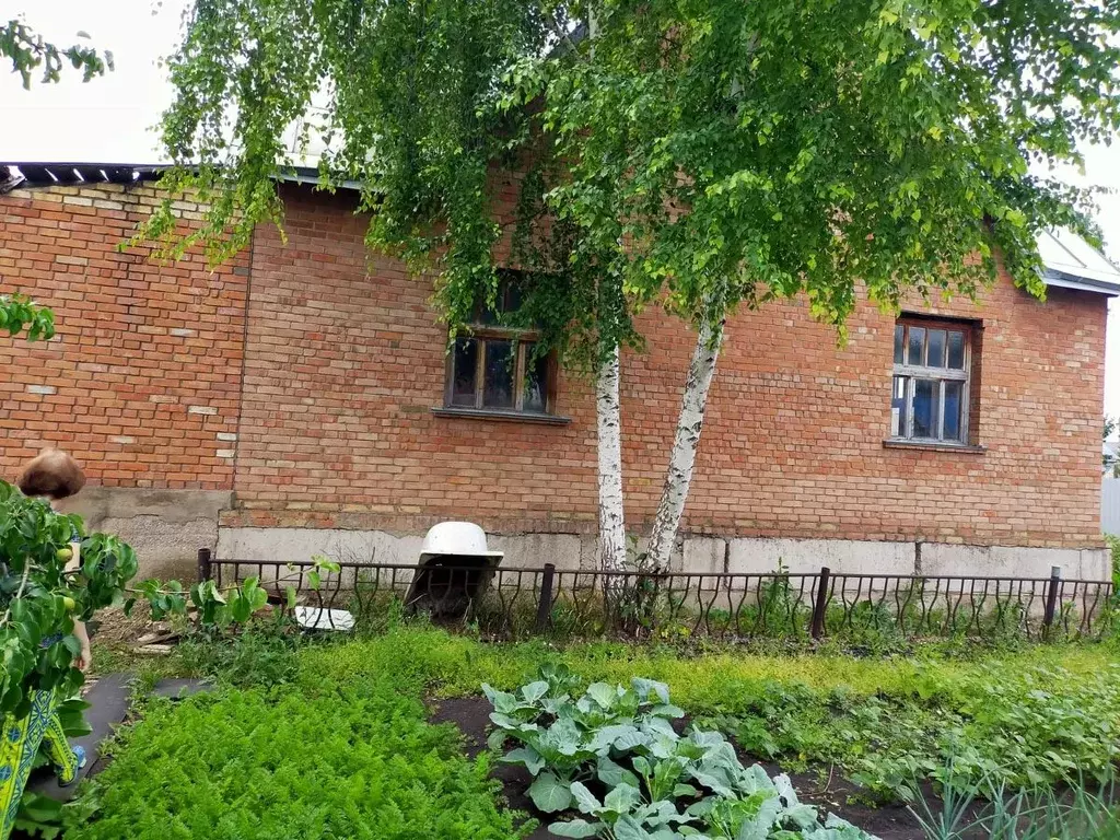 Дом в Башкортостан, Альшеевский район, с. Раевский ул. Кирова (79 м) - Фото 2