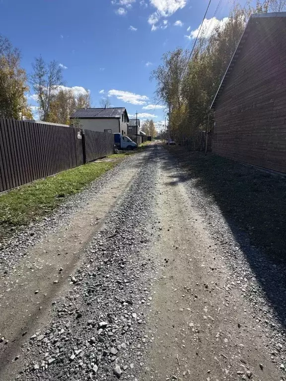 Участок в Новосибирская область, Коченевский район, Витязь садовое ... - Фото 1