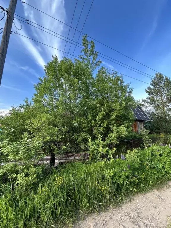 Участок в Кировская область, Кирово-Чепецкий район, Пасеговское с/пос, ... - Фото 2