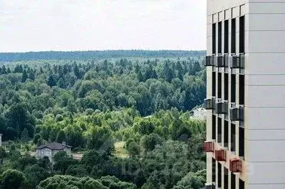 Студия Москва Цветочные Поляны жилой комплекс, к11 (25.05 м) - Фото 2