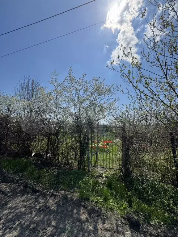 Участок 5 сот. (СНТ, ДНП) - Фото 1