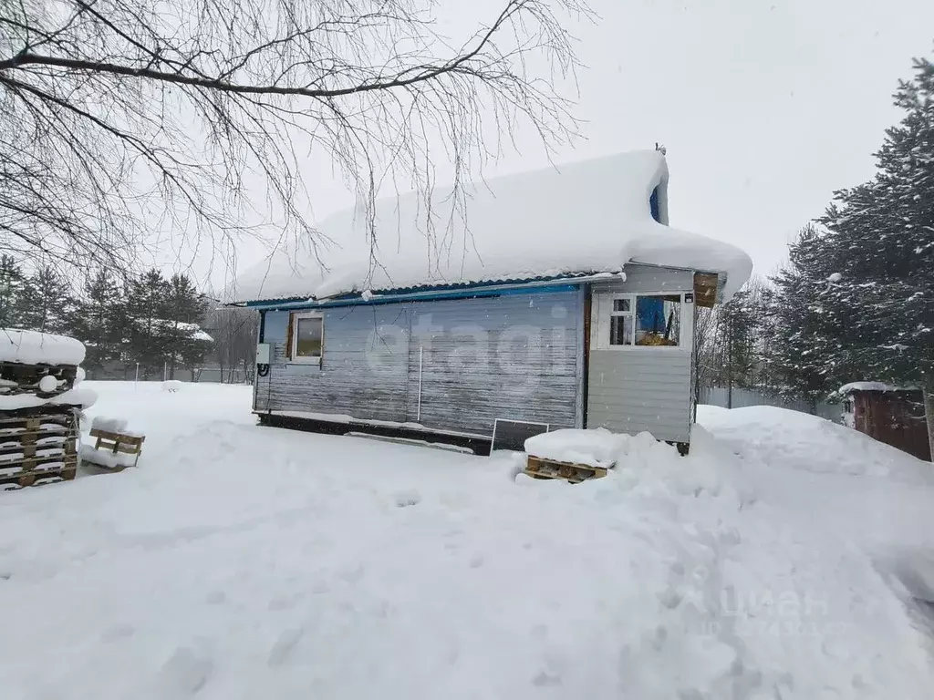 Дом в Архангельская область, Приморский муниципальный округ, Нива ... - Фото 1