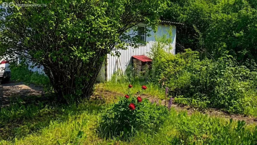 Дом в Зубовский сельсовет, ТСН Рябинушка (29.7 м) - Фото 2