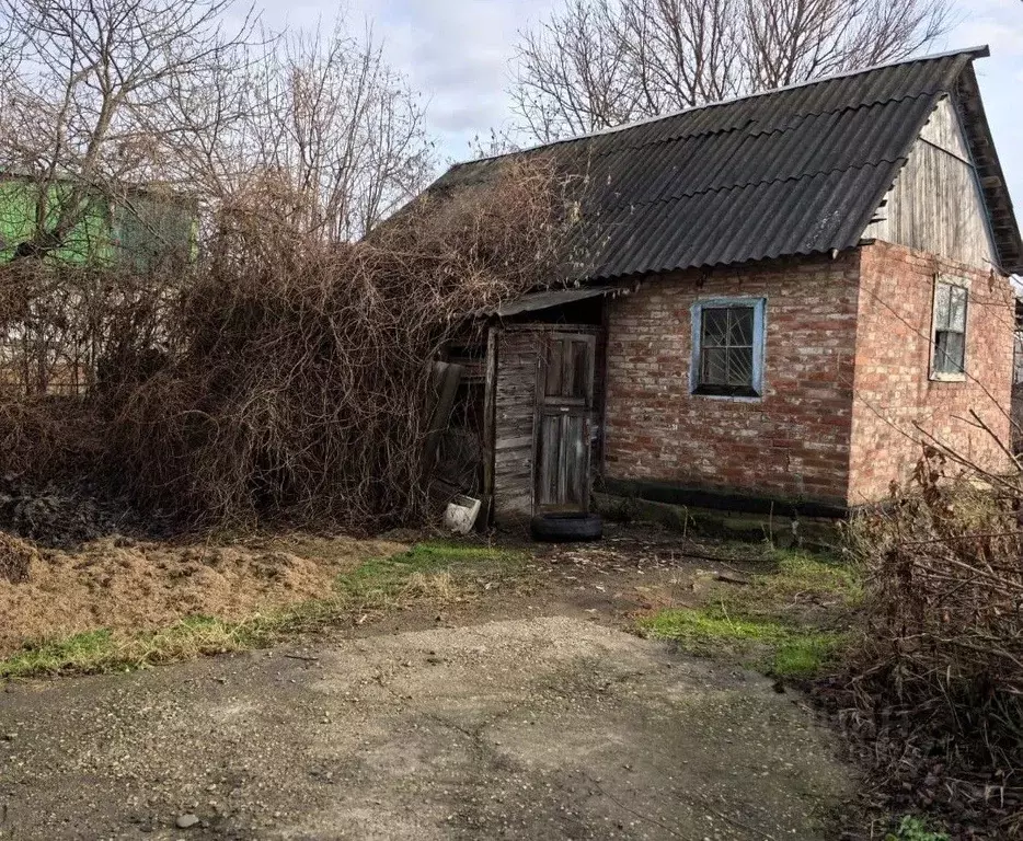 Участок в Краснодарский край, Краснодар КСТ-2 СНТ, ул. Виноградная, 48 ... - Фото 0