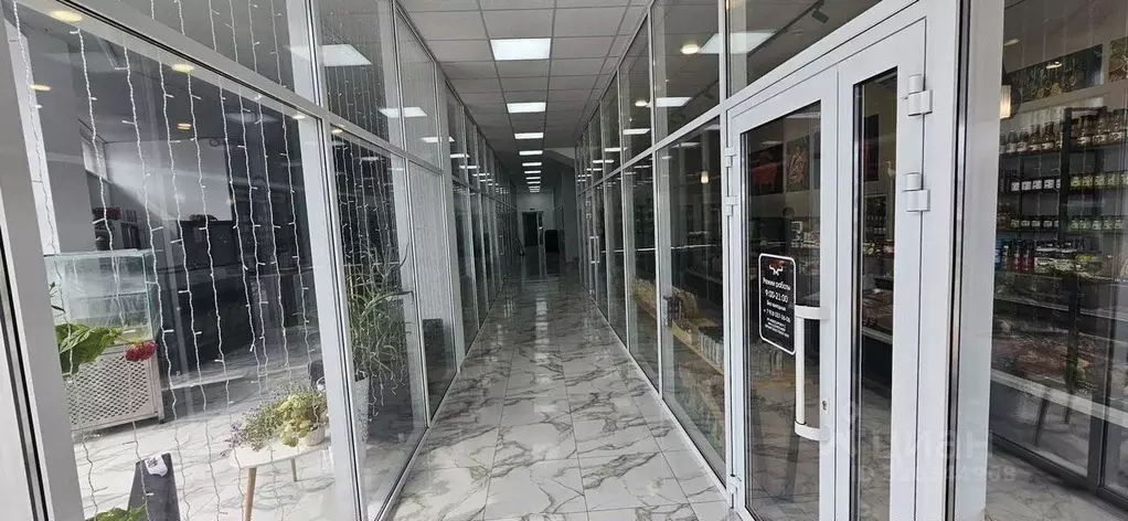 Помещение свободного назначения в Краснодарский край, Новороссийск ... - Фото 2