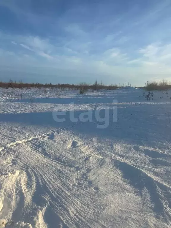 Участок в Ямало-Ненецкий АО, Новый Уренгой ул. Глинки, 5 (6.0 сот.) - Фото 1