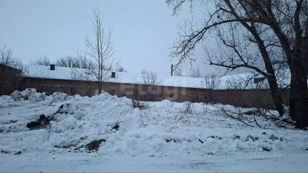 Склад в Новосибирская область, Ордынский район, пос. Чернаково ул. ... - Фото 1