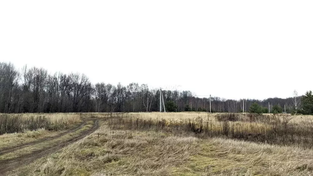 Участок в городской округ Владимир, деревня Уварово, Большая ... - Фото 0