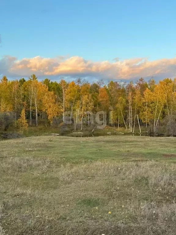 Участок в Саха (Якутия), Муниципальный район Хангаласский у., с. ... - Фото 0