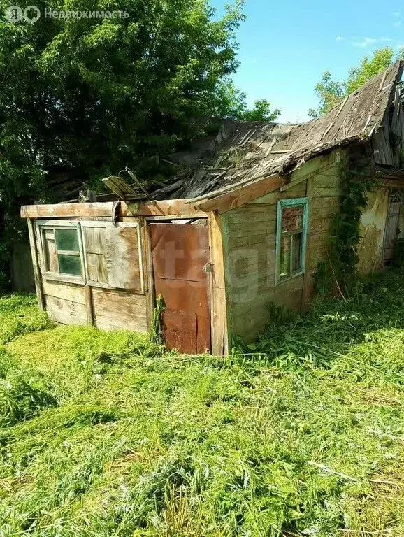 Участок в Бийск, улица Петра Чайковского (6.7 м) - Фото 1