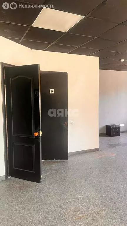 Торговая площадь (77 м) - Фото 2