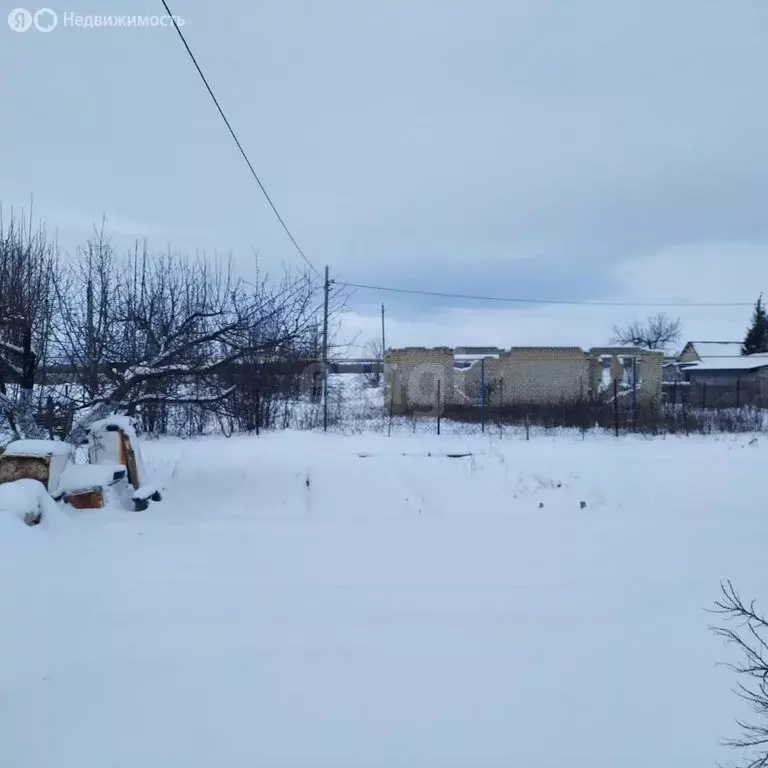 Участок в Елшанское муниципальное образование, СНТ Коммуна, 11 (8 м) - Фото 1