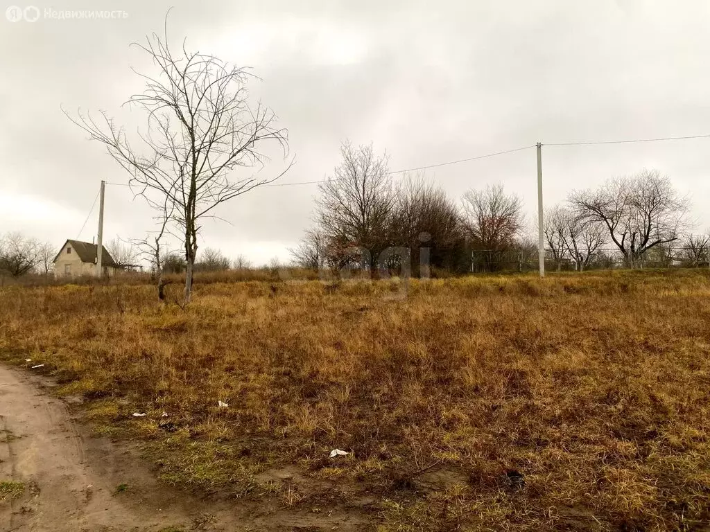 Участок в Белгородский район, Бессоновское сельское поселение, СТ ... - Фото 2