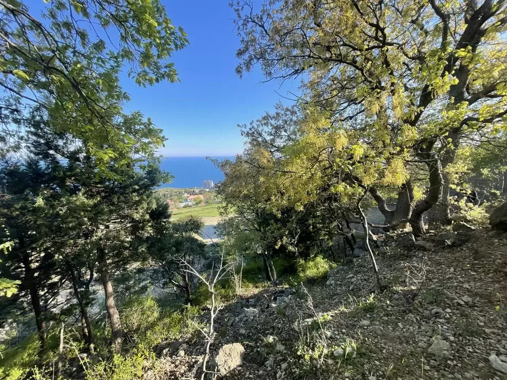 Участок в Крым, Ялта городской округ, Никита пгт ул. Имени Героя ... - Фото 2