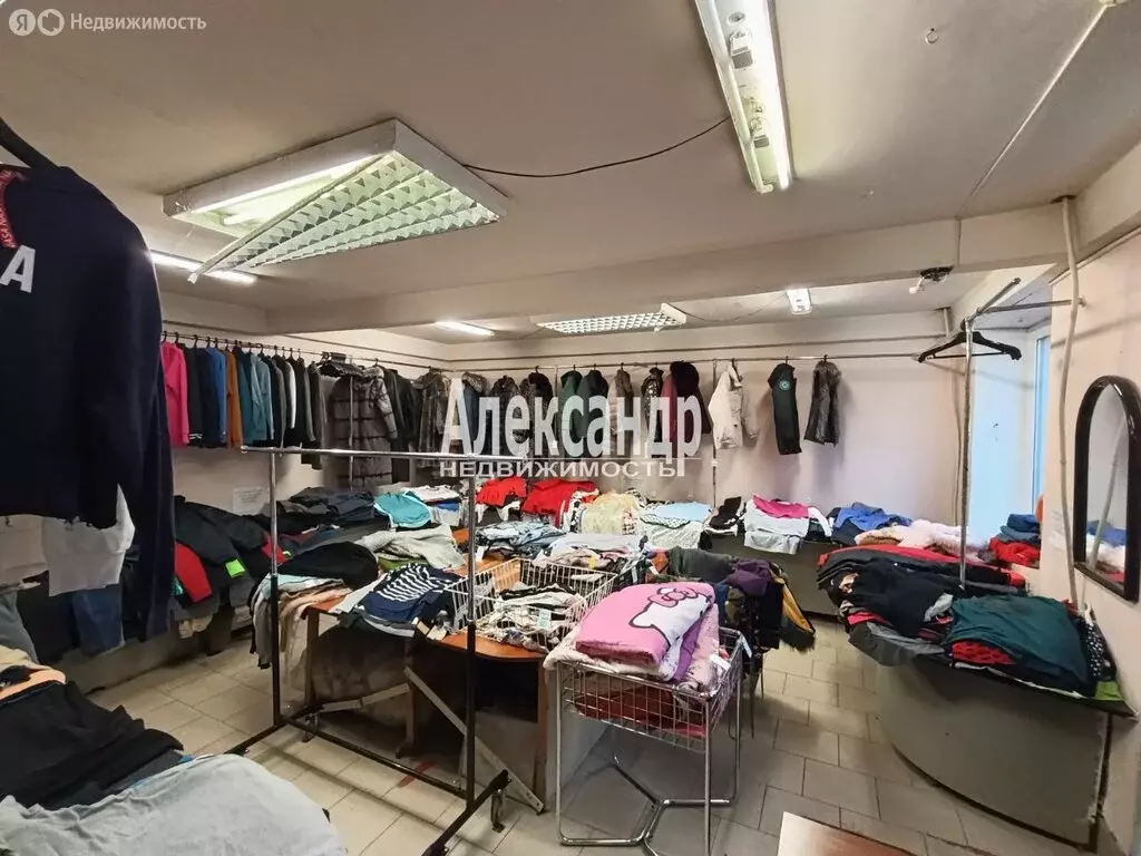 Торговая площадь (45.3 м) - Фото 2