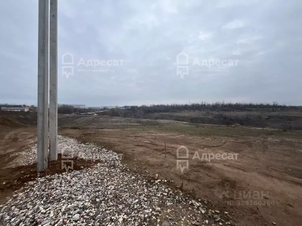 Участок в Волгоградская область, Городищенский район, Царицынское ... - Фото 1