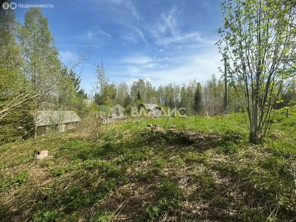 Участок в Деревянкское сельское поселение, садоводческое ... - Фото 1