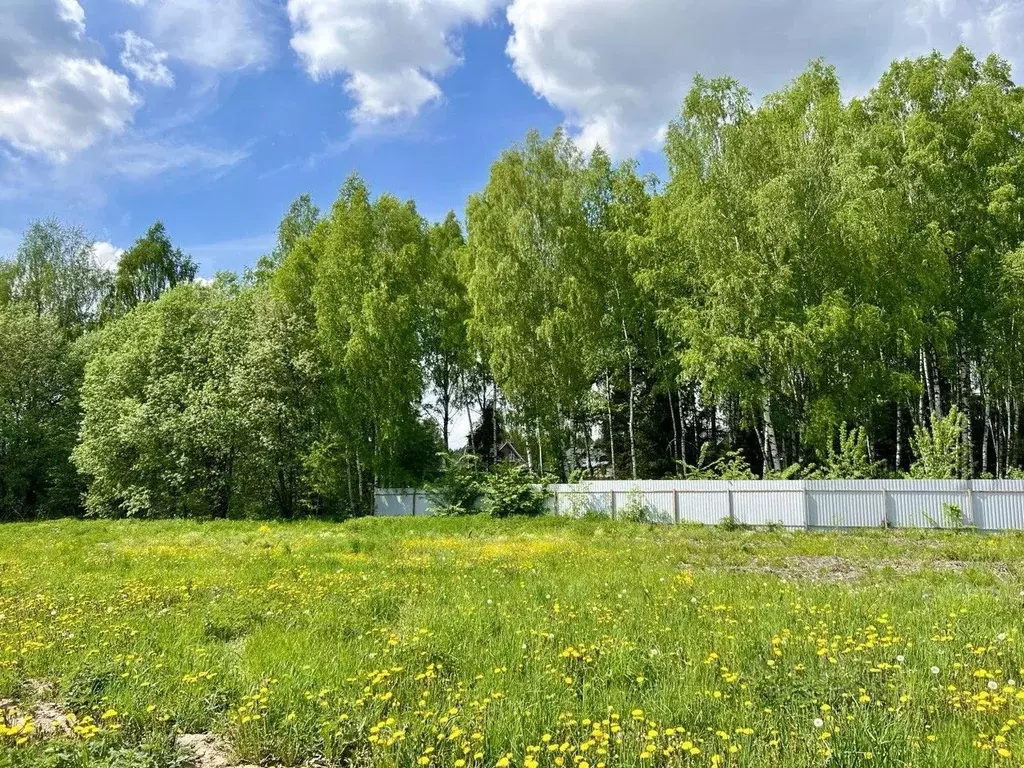 Участок в Московская область, Дмитровский городской округ, д. Удино ... - Фото 1