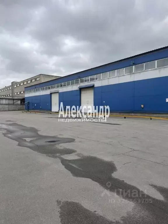 Склад в Санкт-Петербург ул. Латышских Стрелков, 29к3Ж (2200 м) - Фото 2