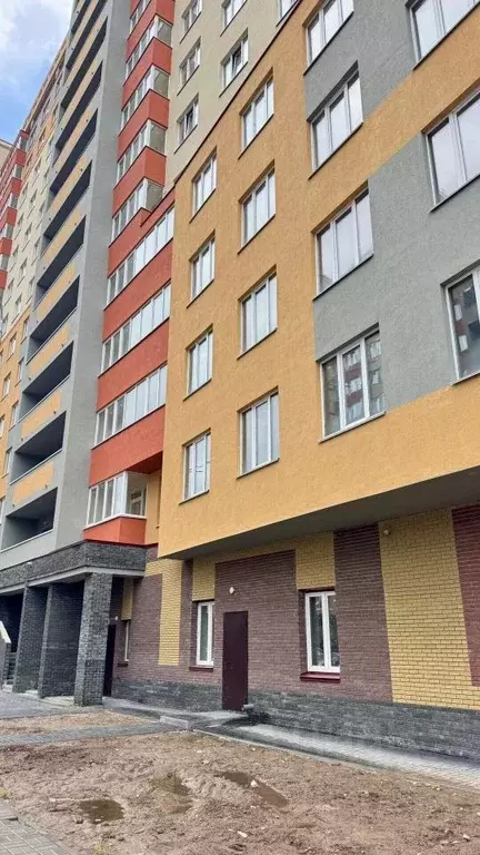 3-к кв. Нижегородская область, Кстово ул. Сутырина, 7 (79.7 м) - Фото 2