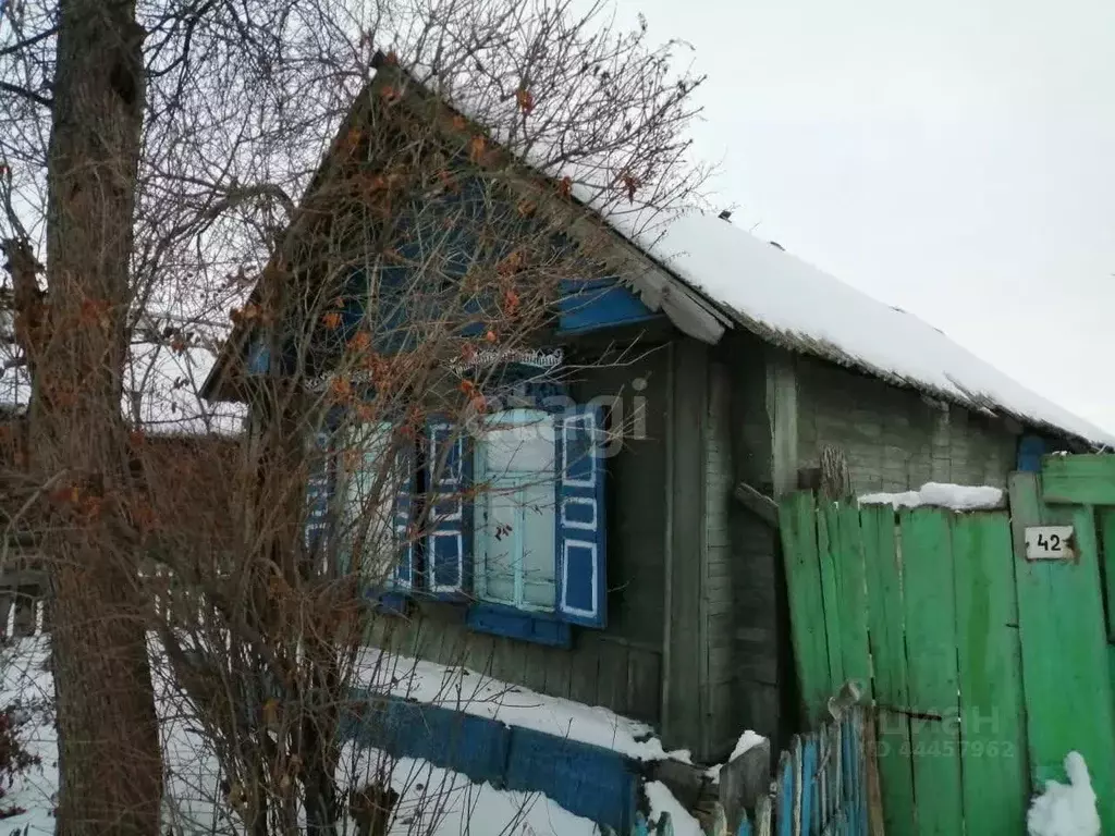 Дом в Челябинская область, с. Аргаяш ул. Российская, 42 (24 м) - Фото 0