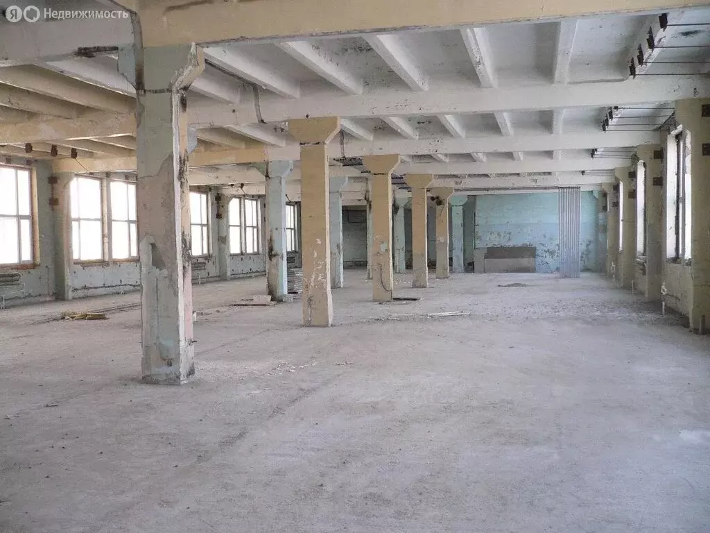 Помещение свободного назначения (1000 м) - Фото 2