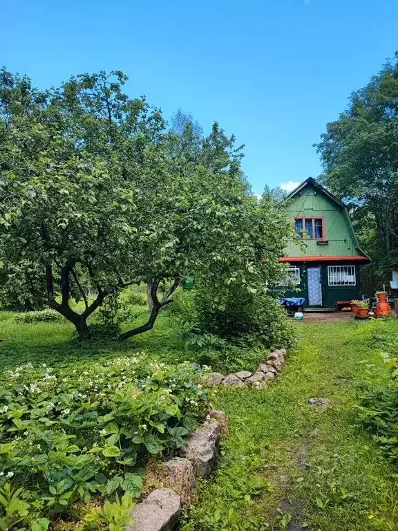 Дом в Ленинградская область, Выборг Таммисуо СНТ,  (40 м) - Фото 2