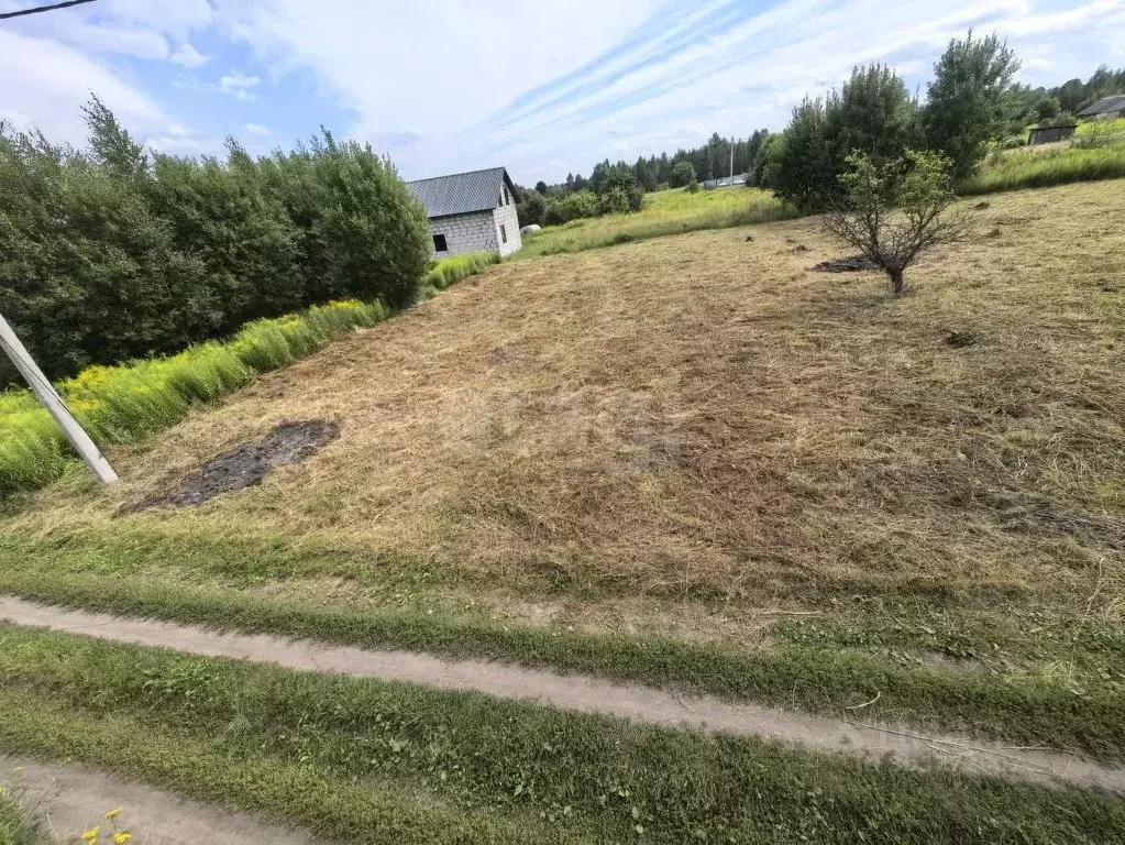 Участок в Брянская область, Брянский район, Добрунское с/пос, с. ... - Фото 1