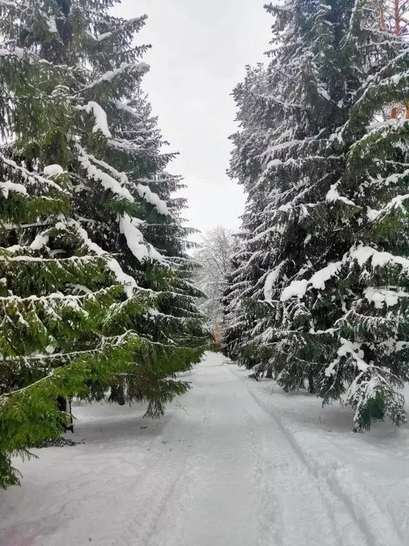 Участок в Псковская область, Гдовский район, Самолвовская волость, ... - Фото 1