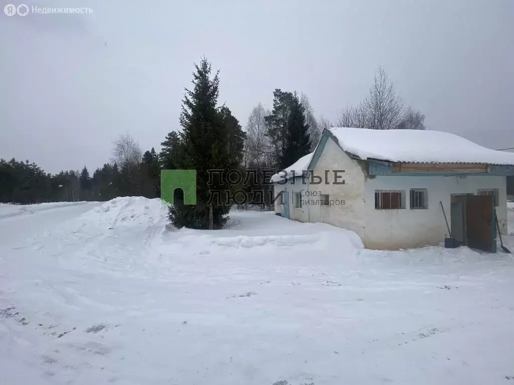 Помещение свободного назначения (58 м) - Фото 1