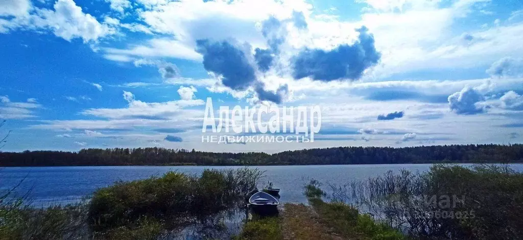 Дом в Ленинградская область, Лужский район, Толмачевское городское ... - Фото 1