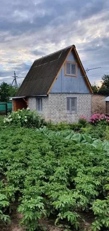 Дом в Смоленская область, Вязьма Строитель (около микрорайона ... - Фото 1