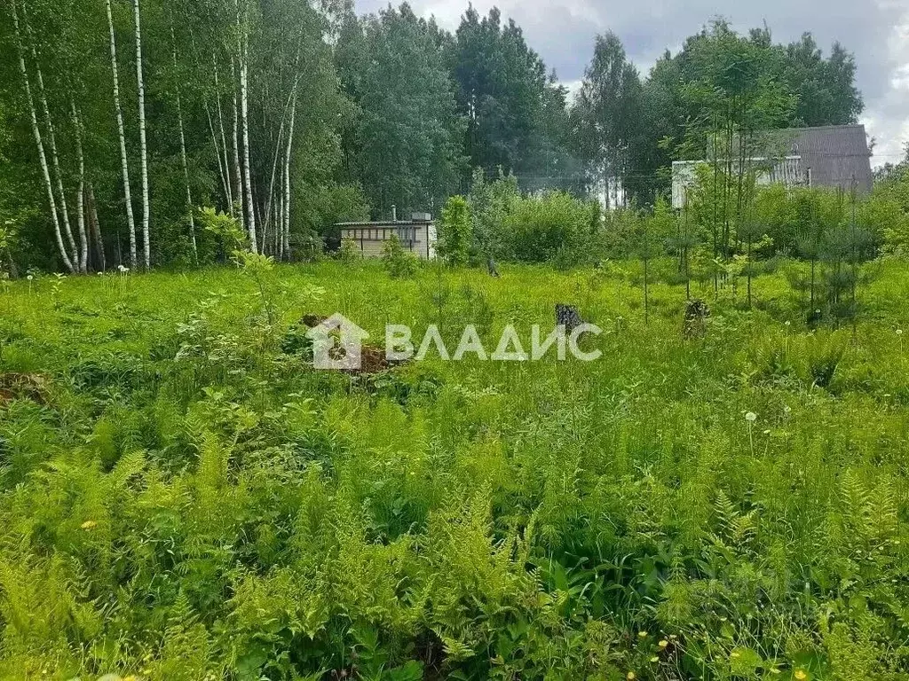 Участок в Московская область, Наро-Фоминский городской округ, Солнце-2 ... - Фото 1