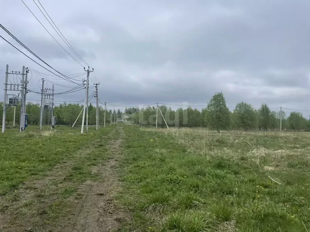 Участок в Ленинградская область, Всеволожский район, Романовское ... - Фото 1