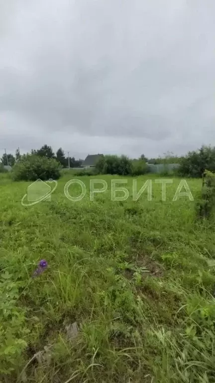 Участок в Тюменская область, Тюмень Зеленый Бор ДНТСН,  (10.0 сот.) - Фото 1