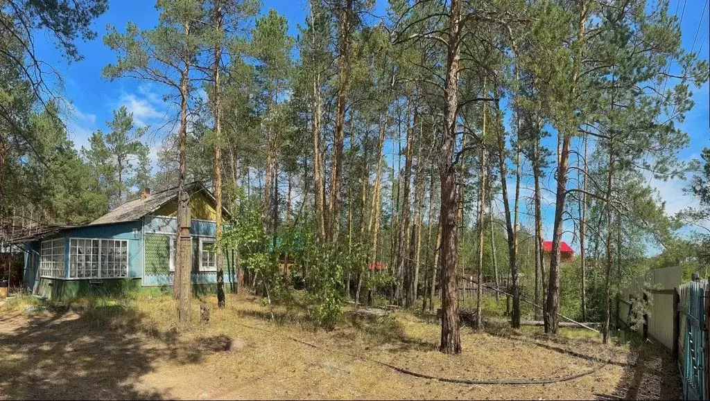 Участок в Саха (Якутия), Якутск Сергеляхское шоссе, 10-й км (13.0 ... - Фото 1