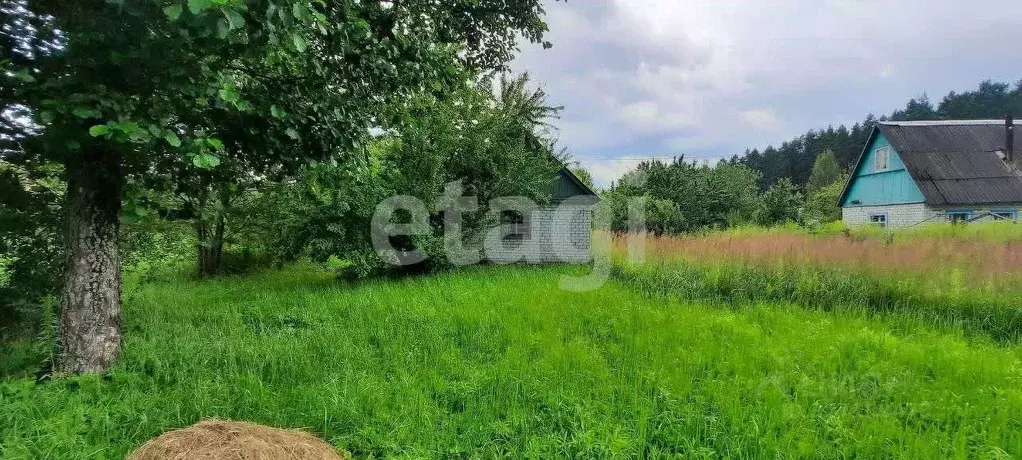 Участок в Брянская область, Брянский район, Стекляннорадицкое с/пос, ... - Фото 2