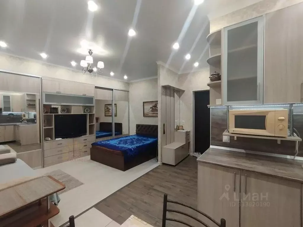 Студия Краснодарский край, Ейск Красная ул., 57/2 (28.5 м) - Фото 2