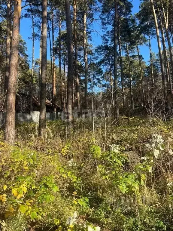 Участок в Новосибирская область, Новосибирск Европейский кп, ул. ... - Фото 0